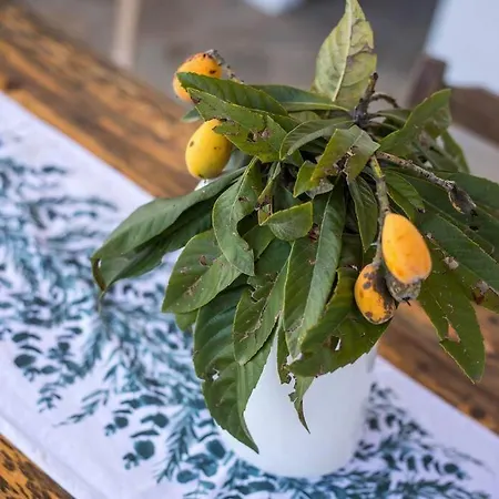 Petrino Eco Conscious Living Prázdninový dům *