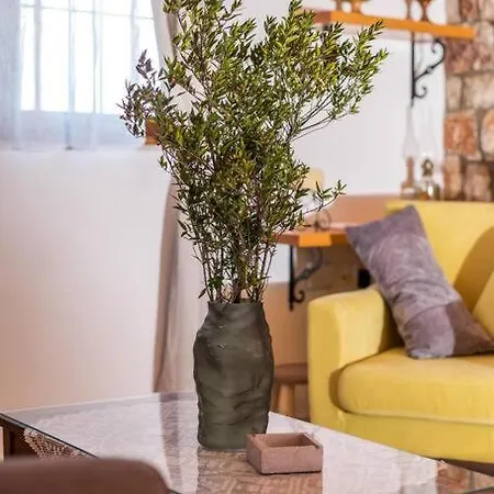 Petrino Eco Conscious Living *