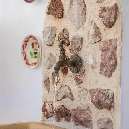 Petrino Eco Conscious Living