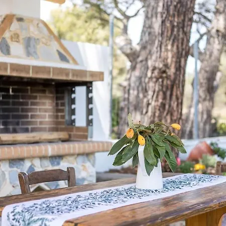 Petrino Eco Conscious Living