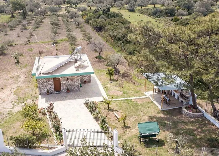 Petrino Eco Conscious Living