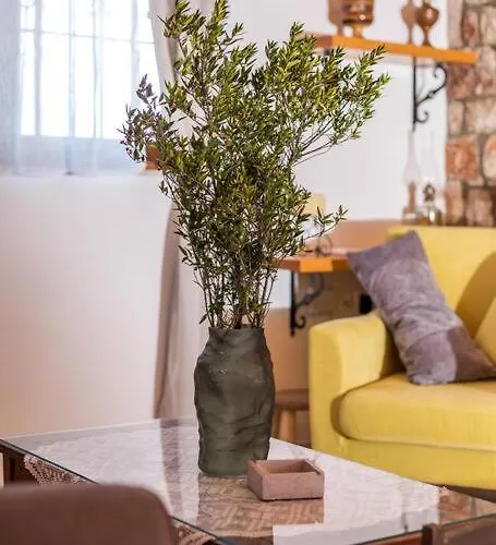 Petrino Eco Conscious Living *