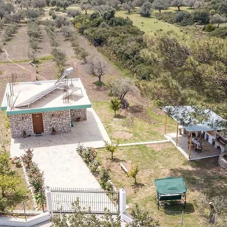 Petrino Eco Conscious Living