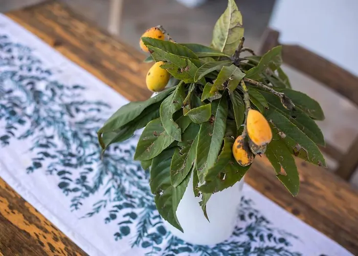 Petrino Eco Conscious Living 펜션 *