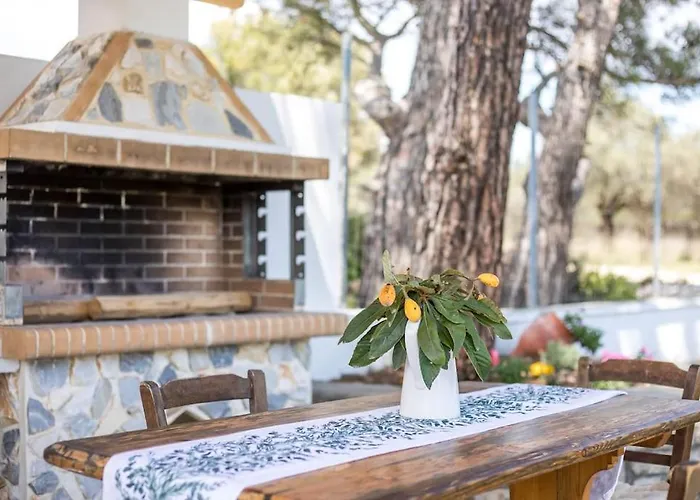 Petrino Eco Conscious Living