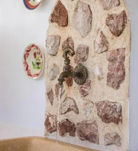 Petrino Eco Conscious Living